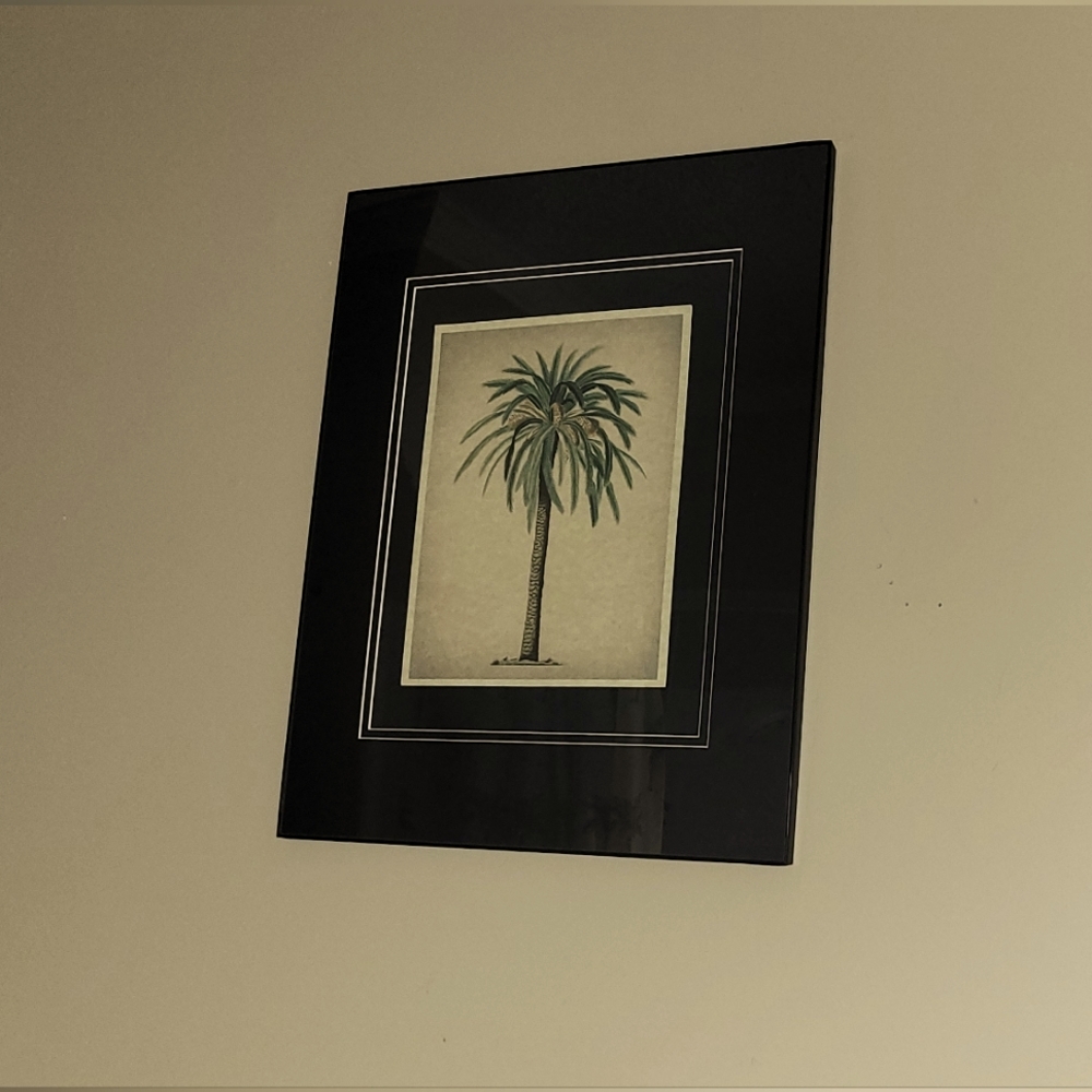 Beautiful matted palm tree print.